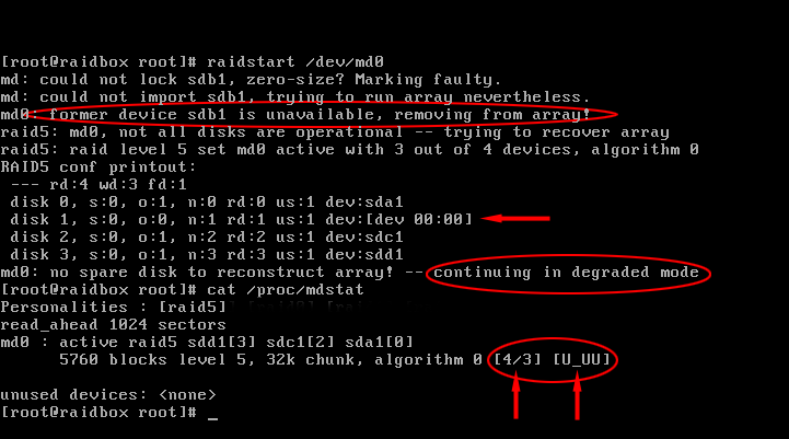Screenshot of RAID-5 in degraded mode
